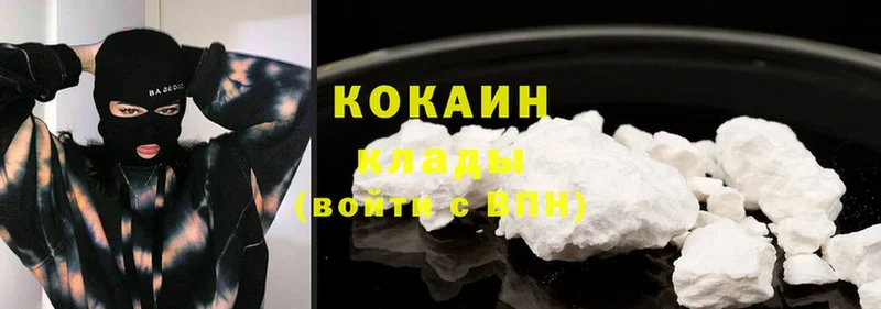 Кокаин Fish Scale  магазин продажи наркотиков  Нестеров 