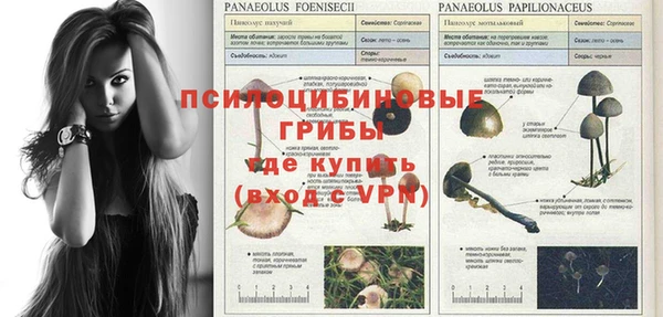 амф Новодвинск