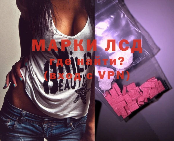 амф Новодвинск
