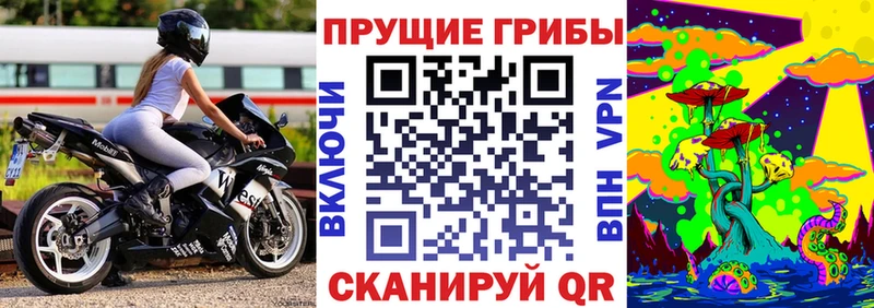 Псилоцибиновые грибы Cubensis  Нестеров 